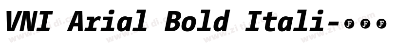 VNI Arial Bold Itali字体转换